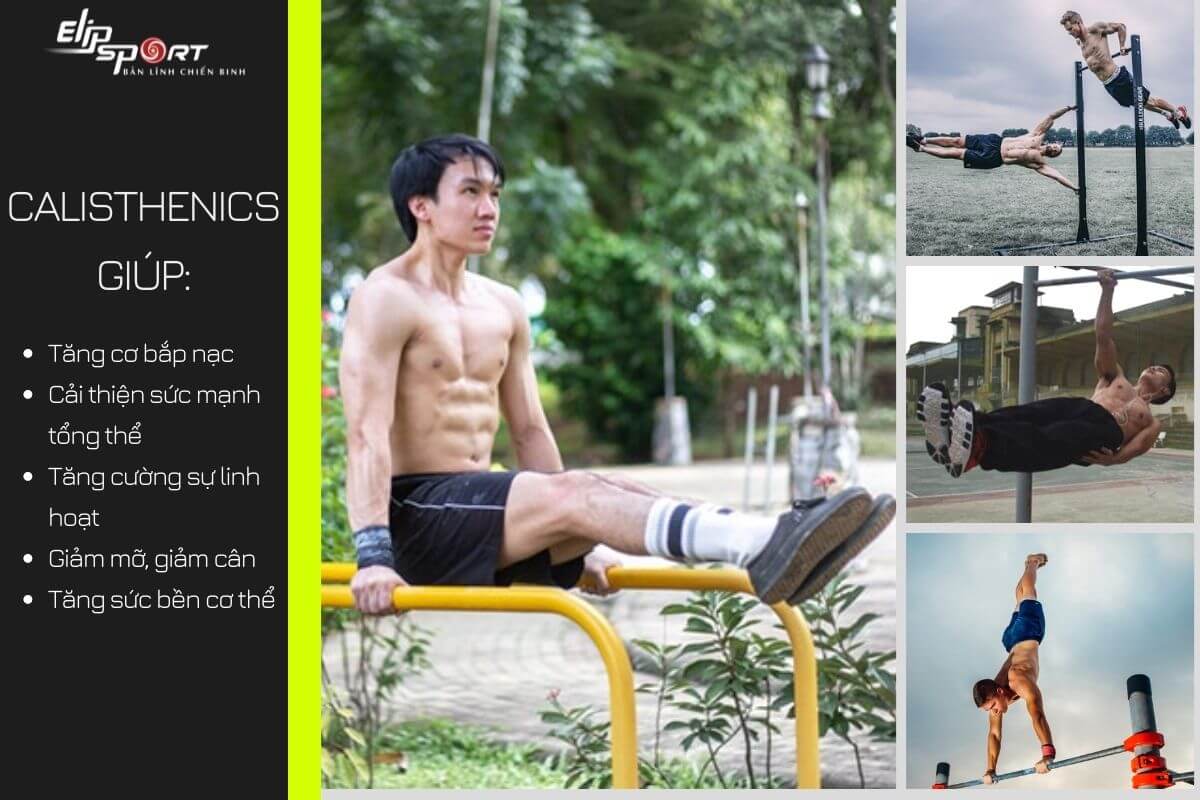 Calisthenics l&agrave; g&igrave;