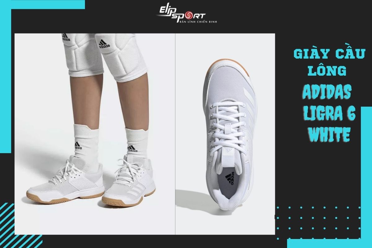 gi&agrave;y cầu l&ocirc;ng adidas