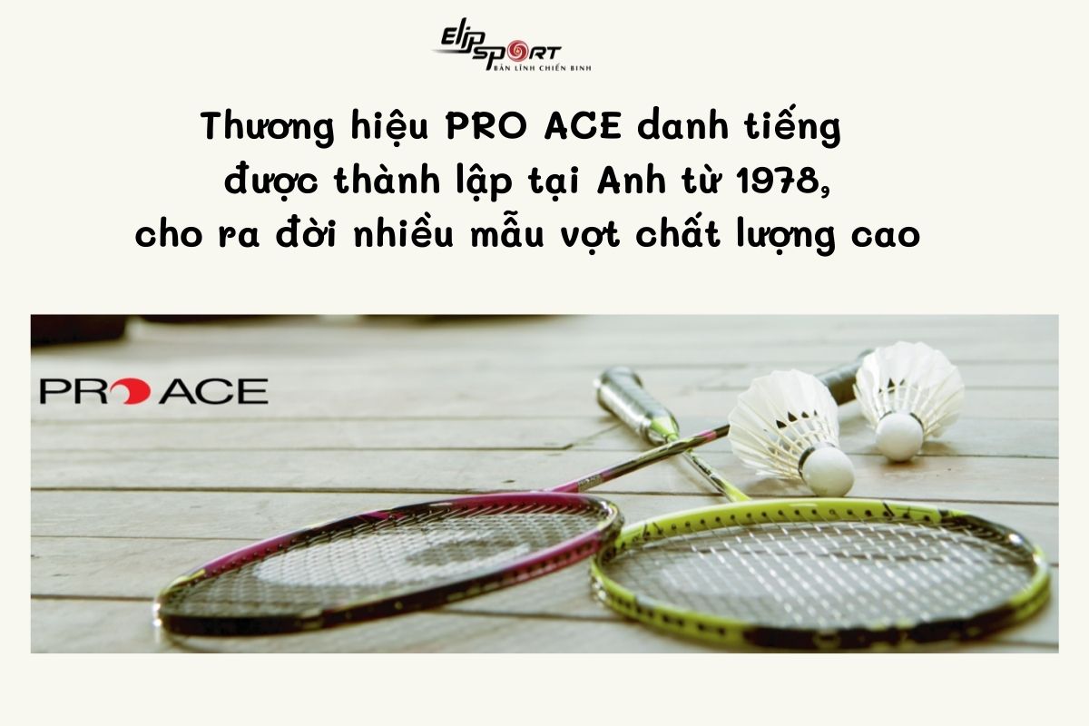 Vợt cầu l&ocirc;ng Proace 316