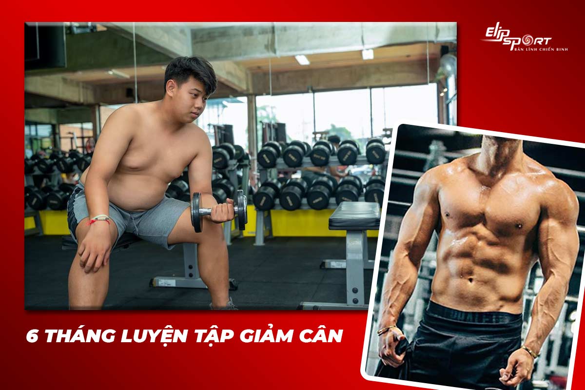 tập gym bao l&acirc;u th&igrave; c&oacute; kết quả