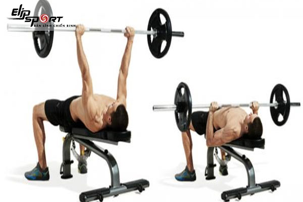 đẩy tạ nằm đ&uacute;ng c&aacute;ch