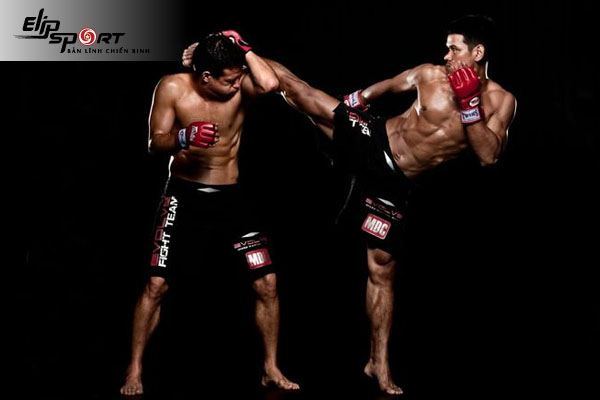 Boxing l&agrave; g&igrave;