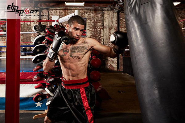 Boxing l&agrave; g&igrave;