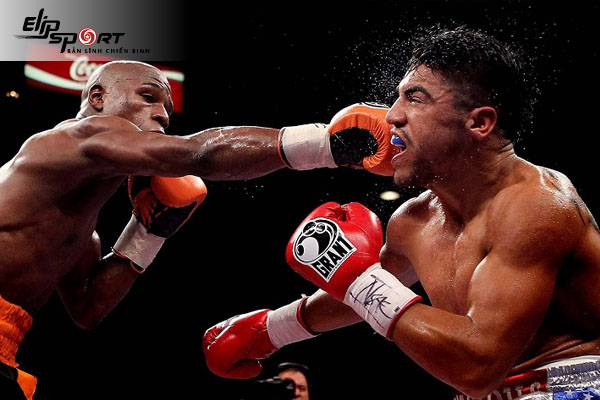 Boxing l&agrave; g&igrave;