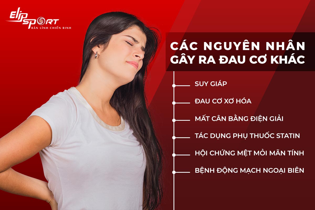 c&aacute;ch l&agrave;m giảm đau cơ