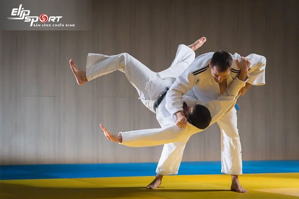 Judo l&agrave; g&igrave;