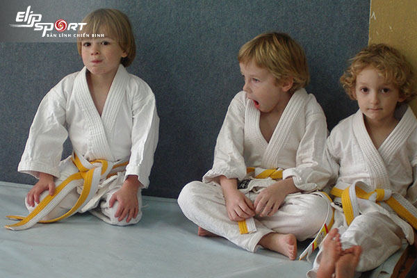 Judo l&agrave; g&igrave;