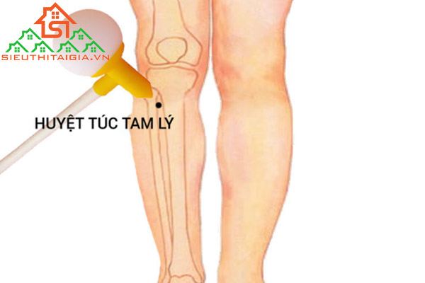 c&aacute;c huyệt đạo tr&ecirc;n cơ thể