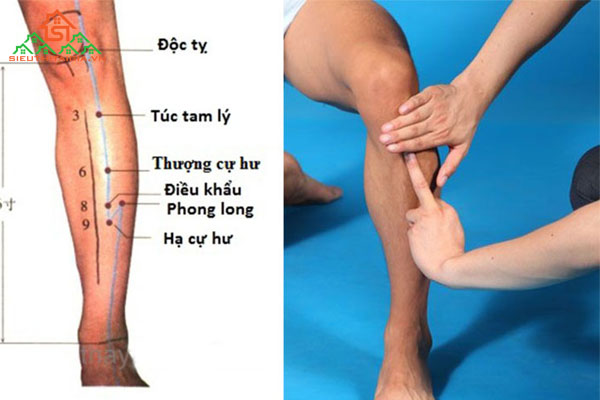 c&aacute;c huyệt ở cẳng ch&acirc;n