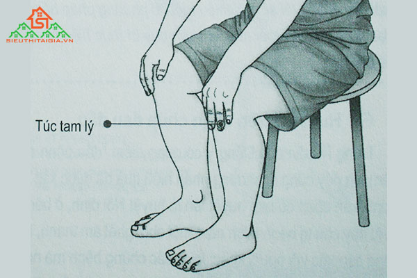 c&aacute;c huyệt ở cẳng ch&acirc;n
