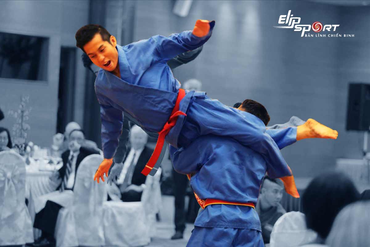 Top 12 các loại võ đạo ph&ocirc;̉ bi&ecirc;́n tại Vi&ecirc;̣t Nam