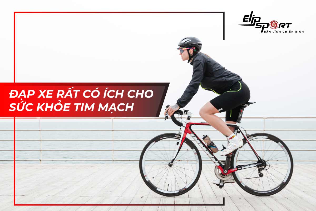 đạp xe g&acirc;y v&ocirc; sinh