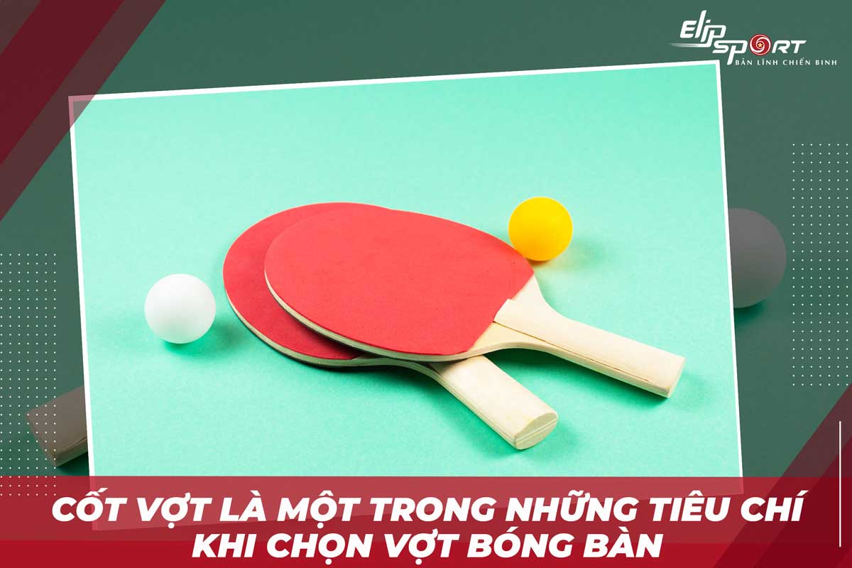 vợt b&oacute;ng b&agrave;n n&agrave;o tốt