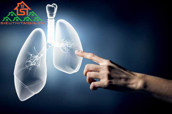 t&aacute;c dụng của chạy bền