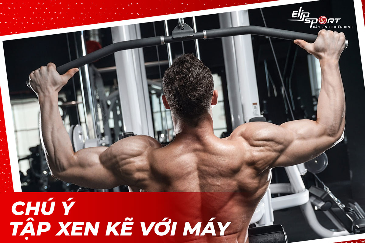 c&aacute;c b&agrave;i tập lưng
