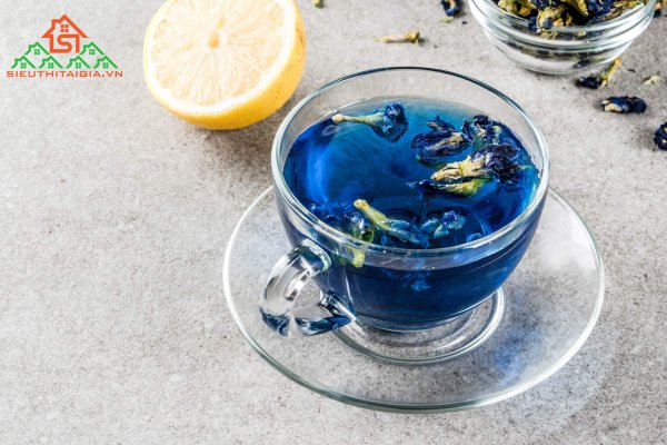 c&aacute;ch uống hoa đậu biếc trị tiểu đường