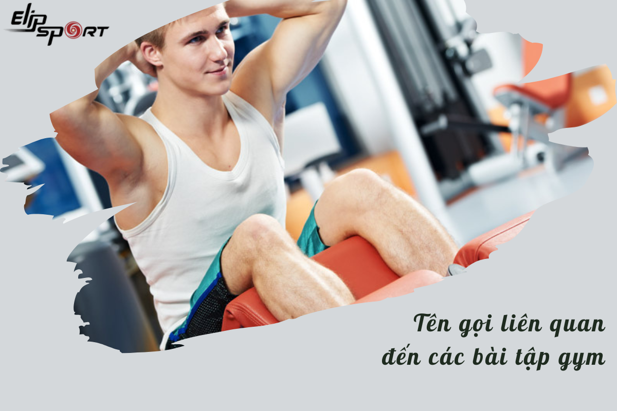 m&aacute;y chạy bộ tiếng anh l&agrave; g&igrave;