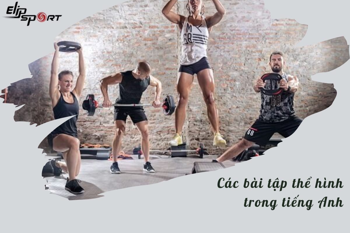 m&aacute;y chạy bộ tiếng anh l&agrave; g&igrave;
