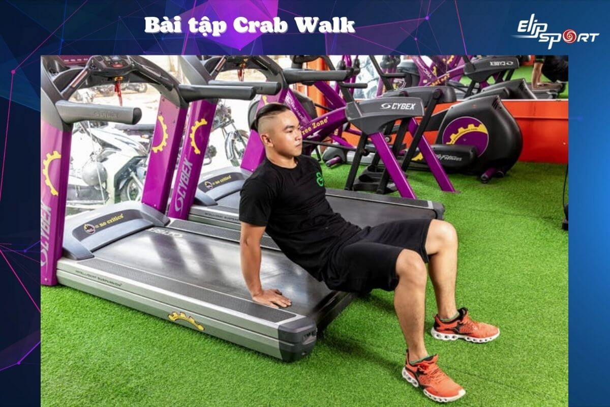 bài tập trên máy chạy bộ