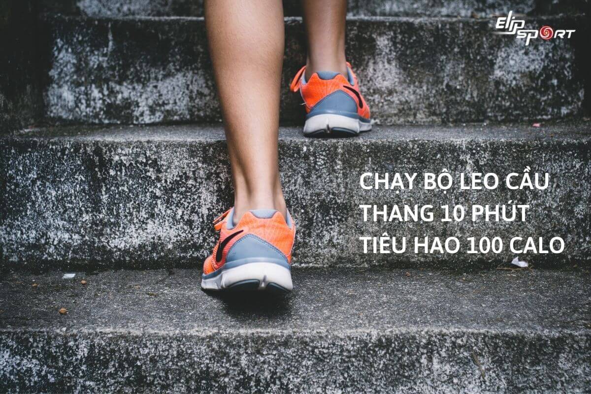 chạy bộ giảm c&acirc;n