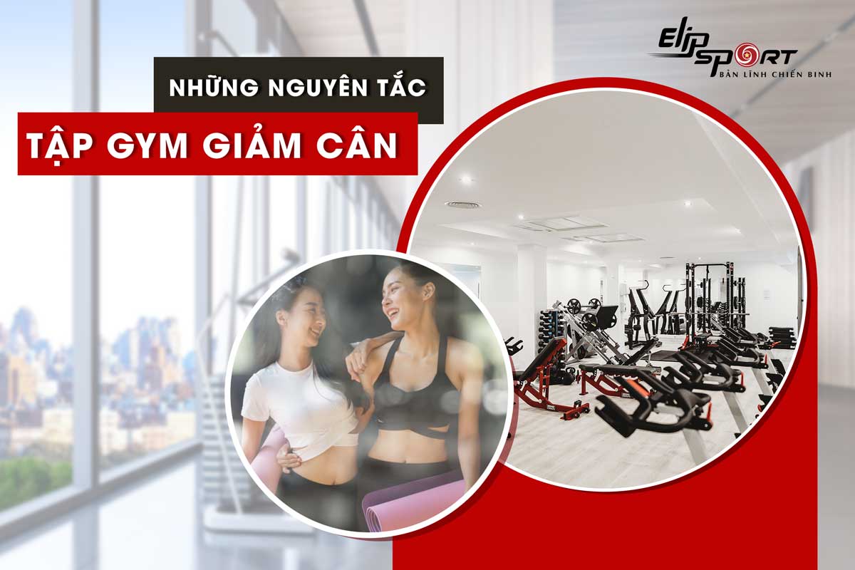 chạy bộ hay tập gym giảm cân tốt hơn