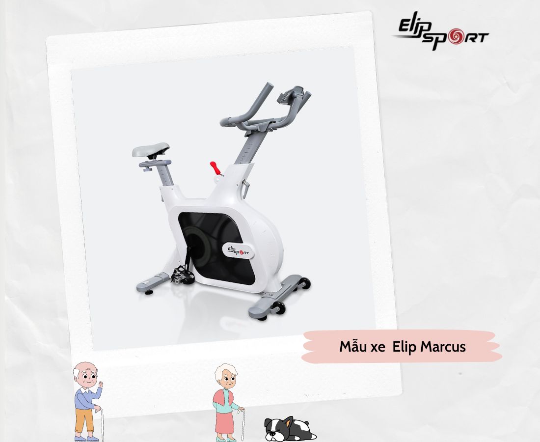 xe đạp tập phục hồi chức năng