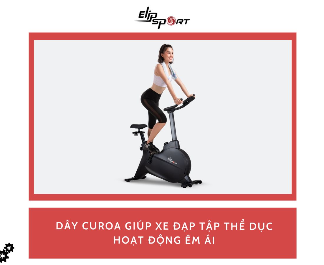 d&acirc;y curoa xe đạp tập thể dục gi&uacute;p hoạt động &ecirc;m &aacute;i