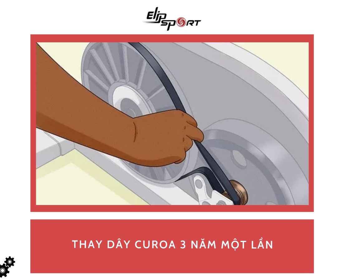 thay d&acirc;y curoa xe đạp tập thể dục 3 năm 1 lần