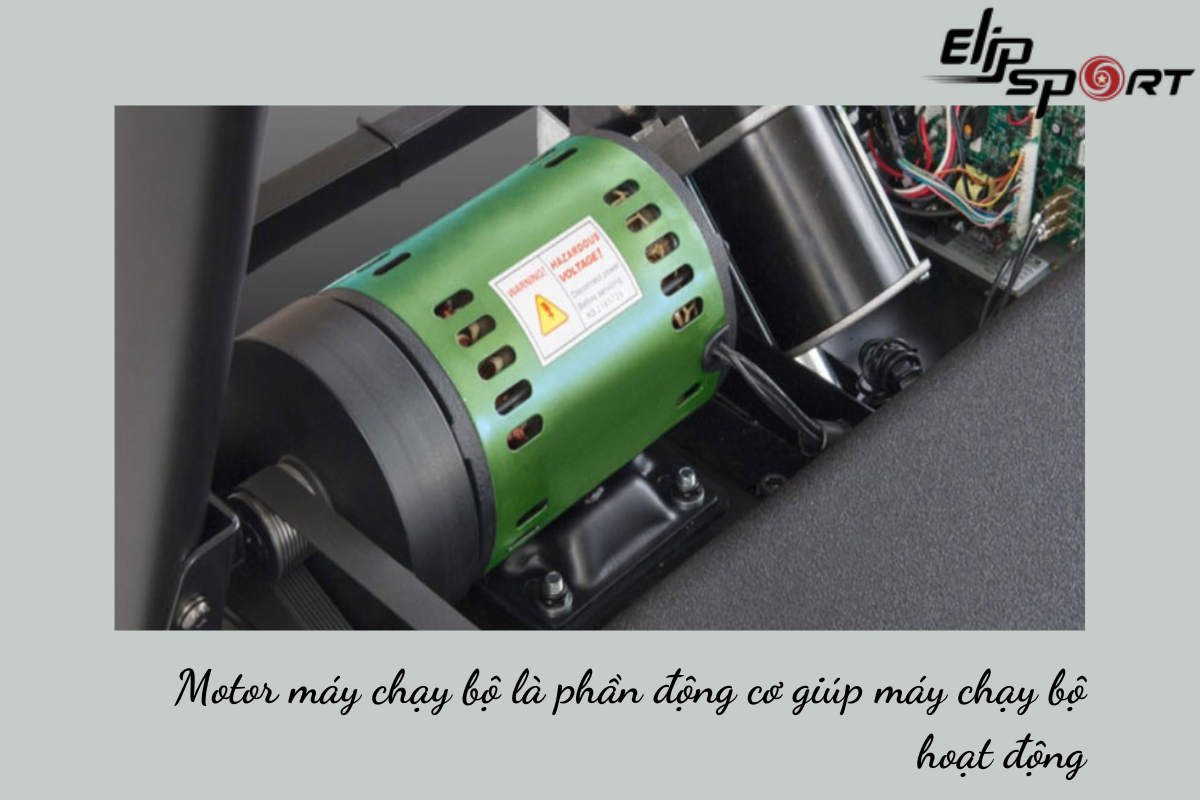motor m&aacute;y chạy bộ