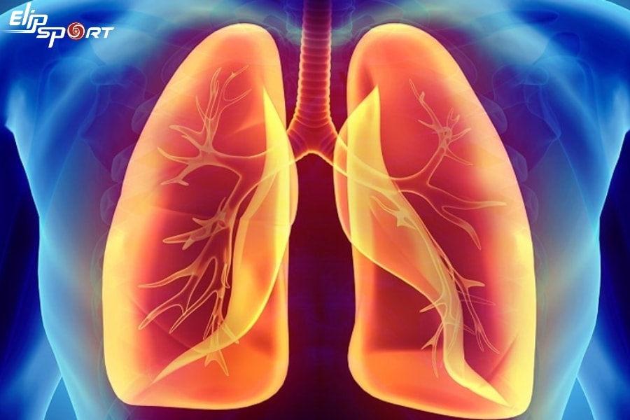 T&aacute;c dụng của ion &acirc;m trong chăm s&oacute;c sức khỏe