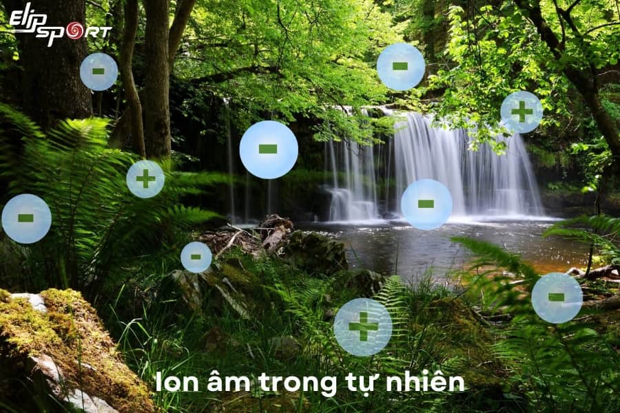 Ion &acirc;m v&agrave; ion dương trong tự nhi&ecirc;n