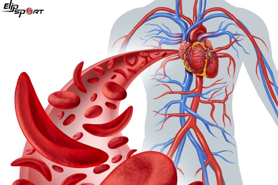 ghế massage đa chức năng gi&uacute;p tăng tuần ho&agrave;n m&aacute;u