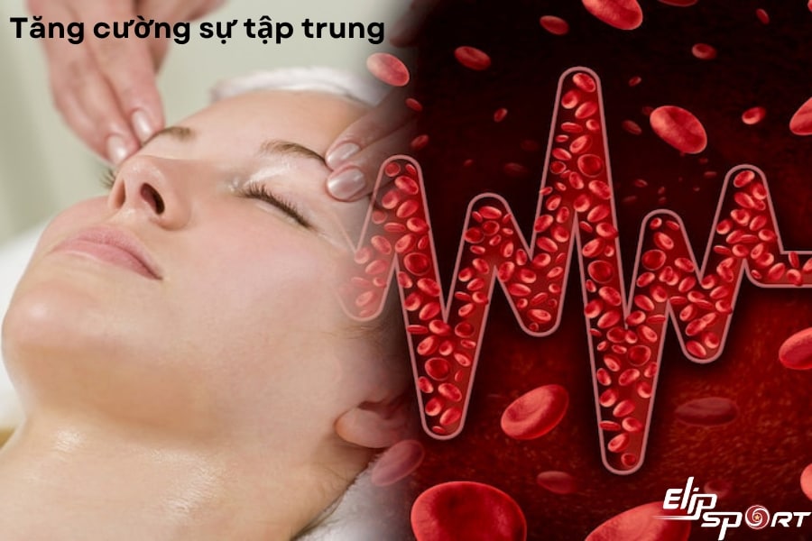 Tăng cường khả năng tập trung