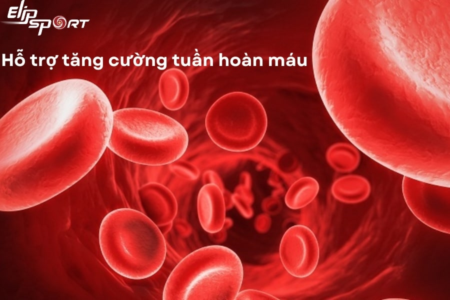 Jun8892 cá cược trực tuyến toàn thân hỗ trợ tăng tuần hoàn máu