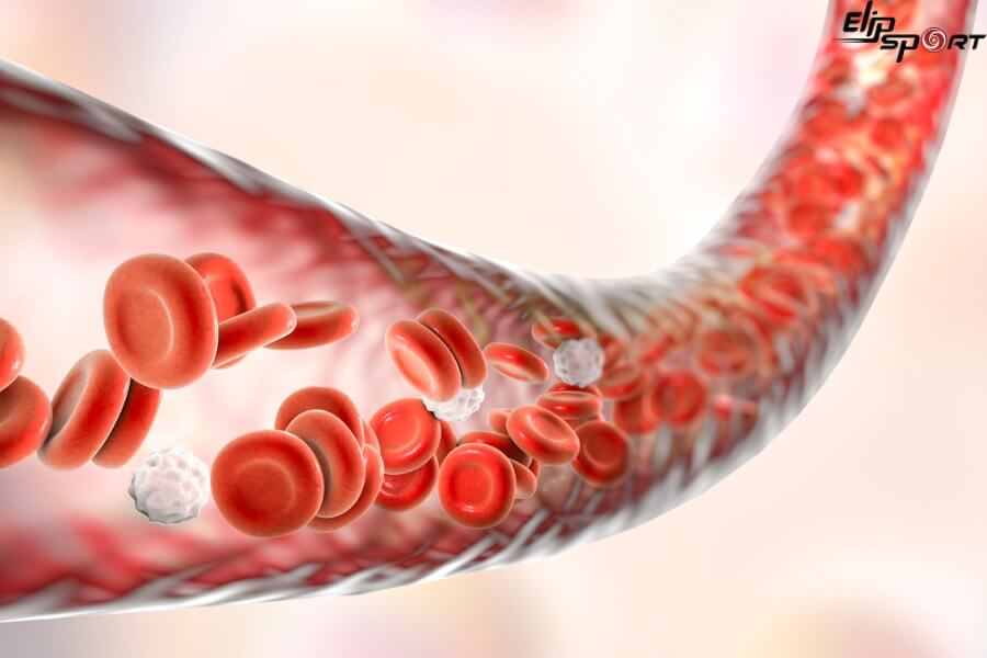 Cải thiện tuần ho&agrave;n m&aacute;u nhờ massage Ấn Độ