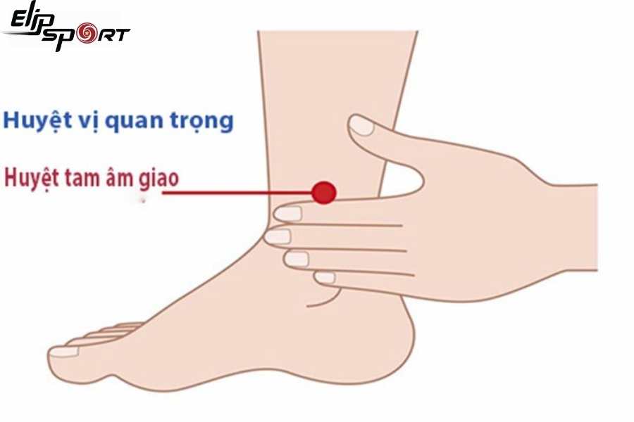 Huyệt Tam &Acirc;m Giao