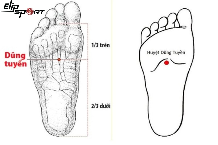 Huyệt Dũng Tuyền