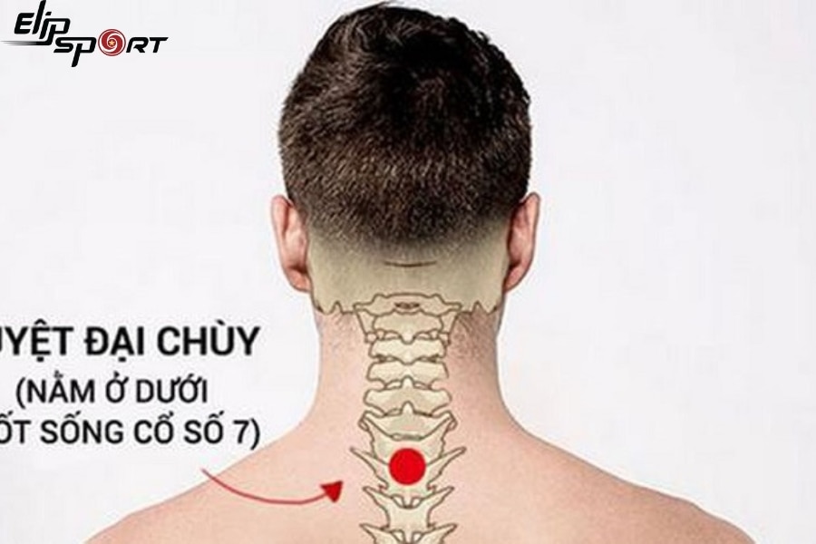 Huyệt Đại Ch&ugrave;y
