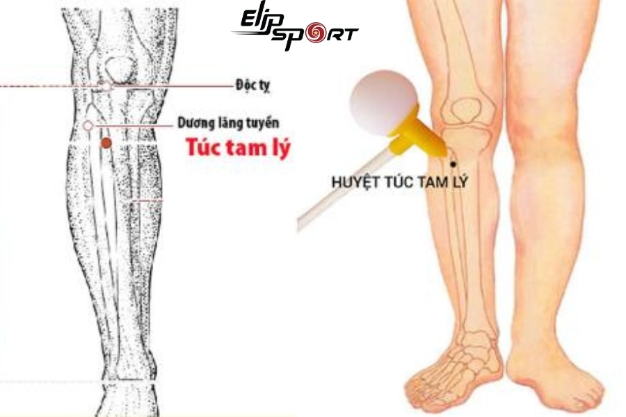 Huyệt T&uacute;c Tam L&yacute;