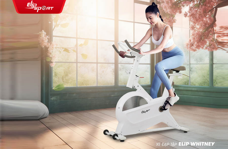 xe đạp tập thể dục cho người già
