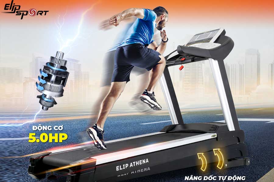máy chạy bộ thương gia
