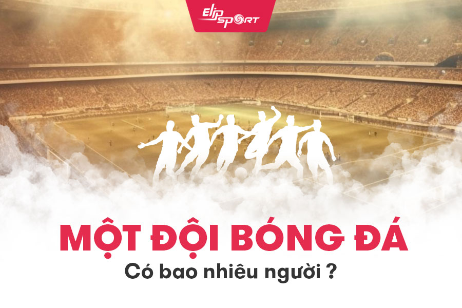 1 đội b&oacute;ng đ&aacute; c&oacute; mấy người? Đội h&igrave;nh chuẩn nhất