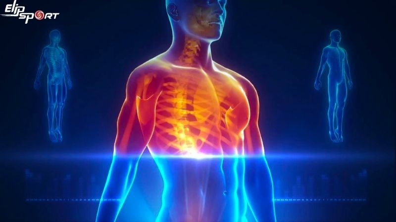 Scan Body l&agrave; một t&iacute;nh năng nổi bật của c&aacute;c ghế massage 4D hiện đại