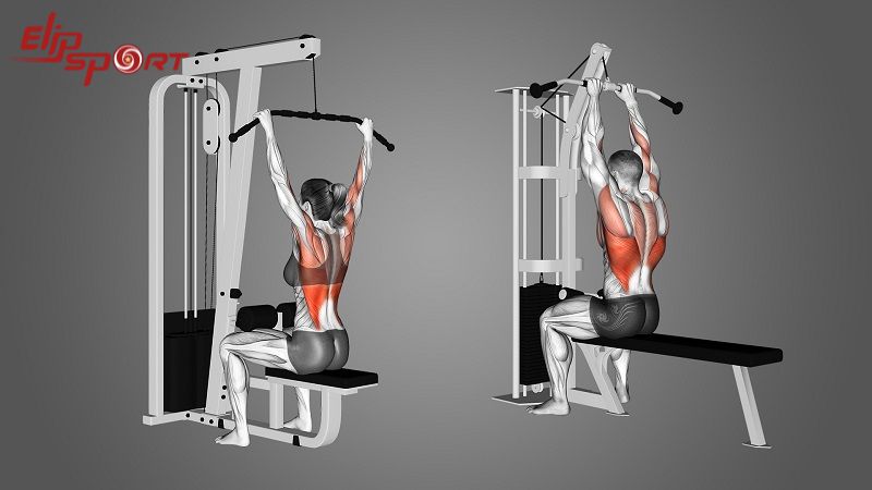 M&aacute;y tập cơ x&ocirc; được thiết kế để ph&aacute;t triển c&aacute;c nh&oacute;m cơ x&ocirc; th&ocirc;ng qua việc k&eacute;o thanh tạ từ tr&ecirc;n xuống