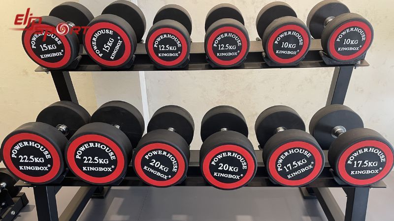 Tạ cầm tay c&oacute; trọng lượng từ 2 &ndash; 45kg, bao gồm tạ cố định v&agrave; tạ c&oacute; thể điều chỉnh theo nhu cầu sử dụng