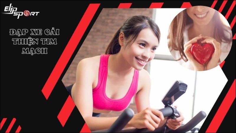Đạp xe gi&uacute;p tăng cường sức khỏe tim mạch