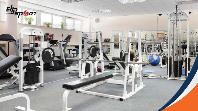 M&aacute;y tập thể dục l&agrave; thiết bị tập luyện tại nh&agrave; gi&uacute;p cải thiện sức khỏe, giảm c&acirc;n v&agrave; ph&aacute;t triển cơ bắp