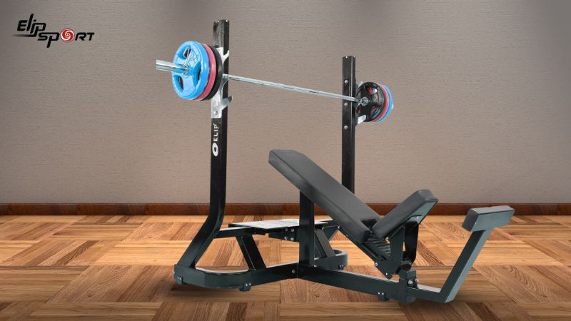 GHẾ ĐẨY NGỰC TR&Ecirc;N ELIP OLY101