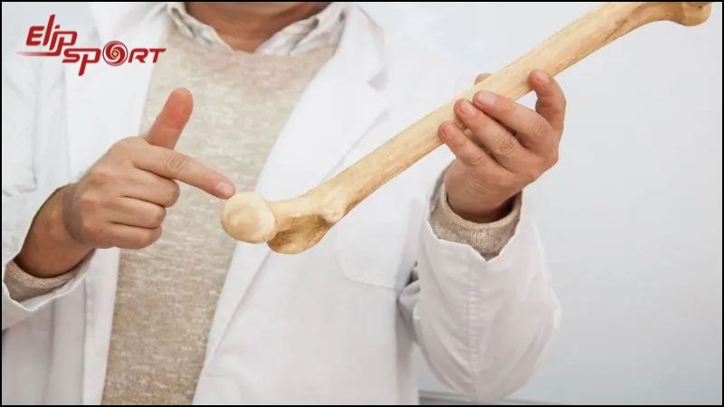 M&ocirc;n thể thao hỗ trợ xương chắc khỏe