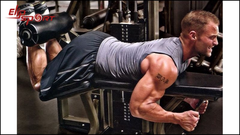 M&aacute;y tập cơ đ&ugrave;i sau l&agrave; một thiết bị trong ph&ograve;ng gym để tập luyện